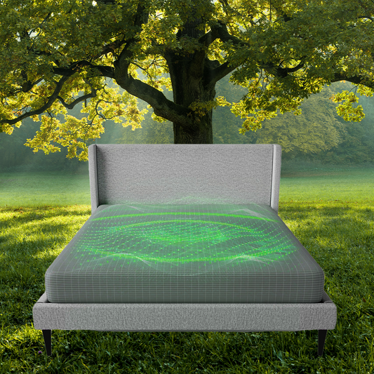 #1 Rated Grounding Bed Sheet